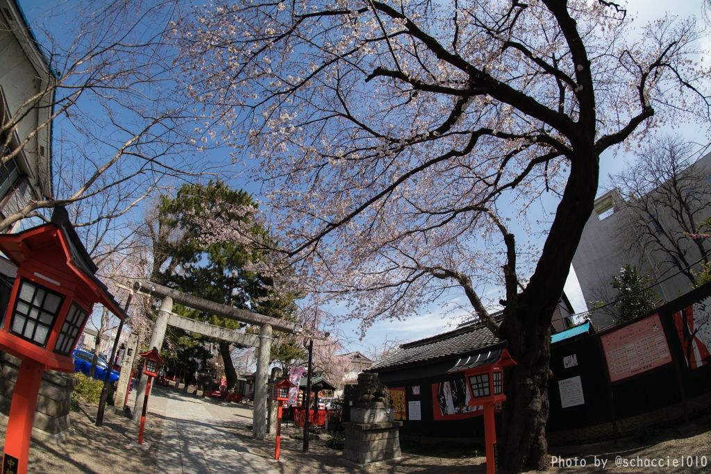 Shrine gate