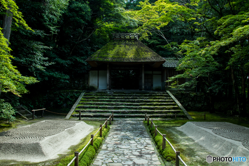 苔生す建物