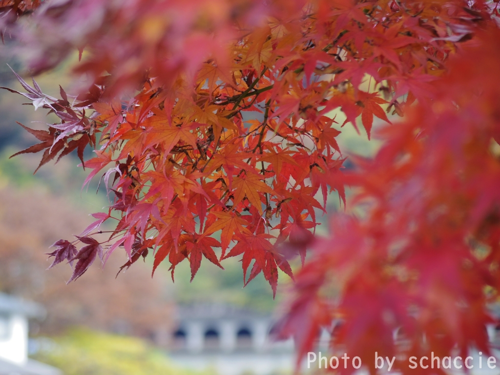 Depth of field