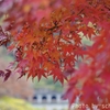 Depth of field