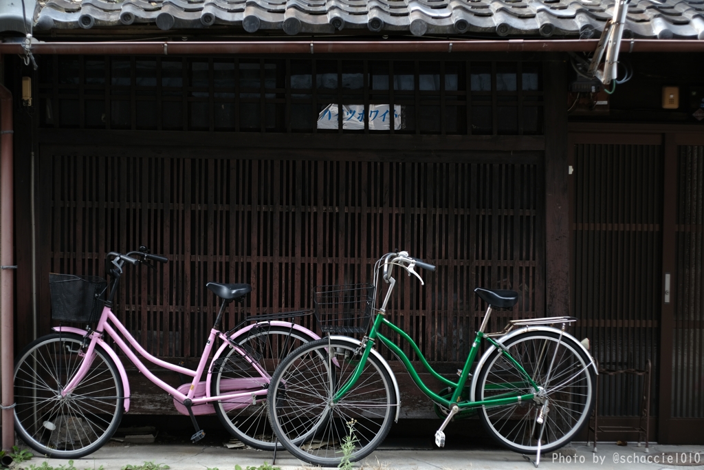 Vivid bikes