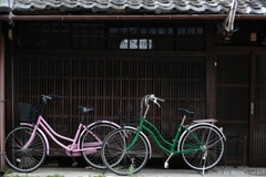 Vivid bikes