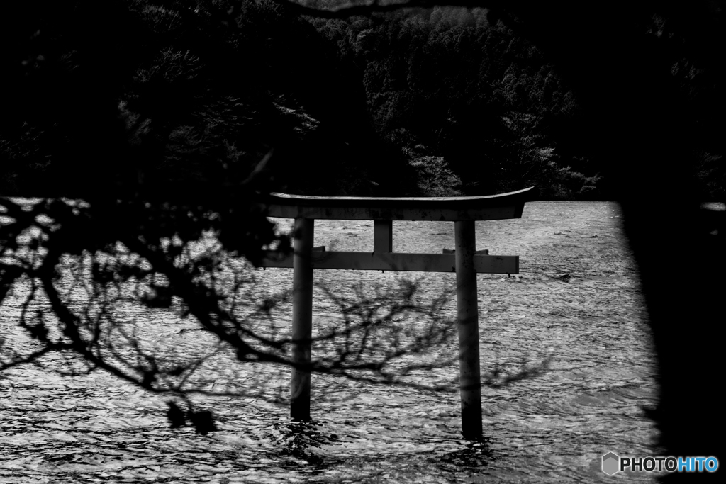 湖に立つ鳥居