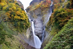 称名滝とハンノキ滝