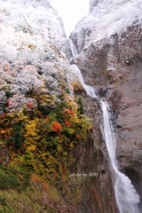称名滝と紅葉と雪景色