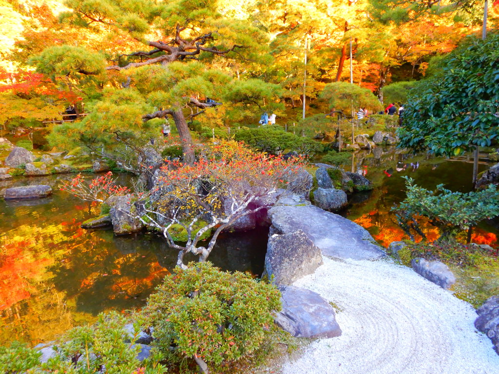 慈照寺　庭園