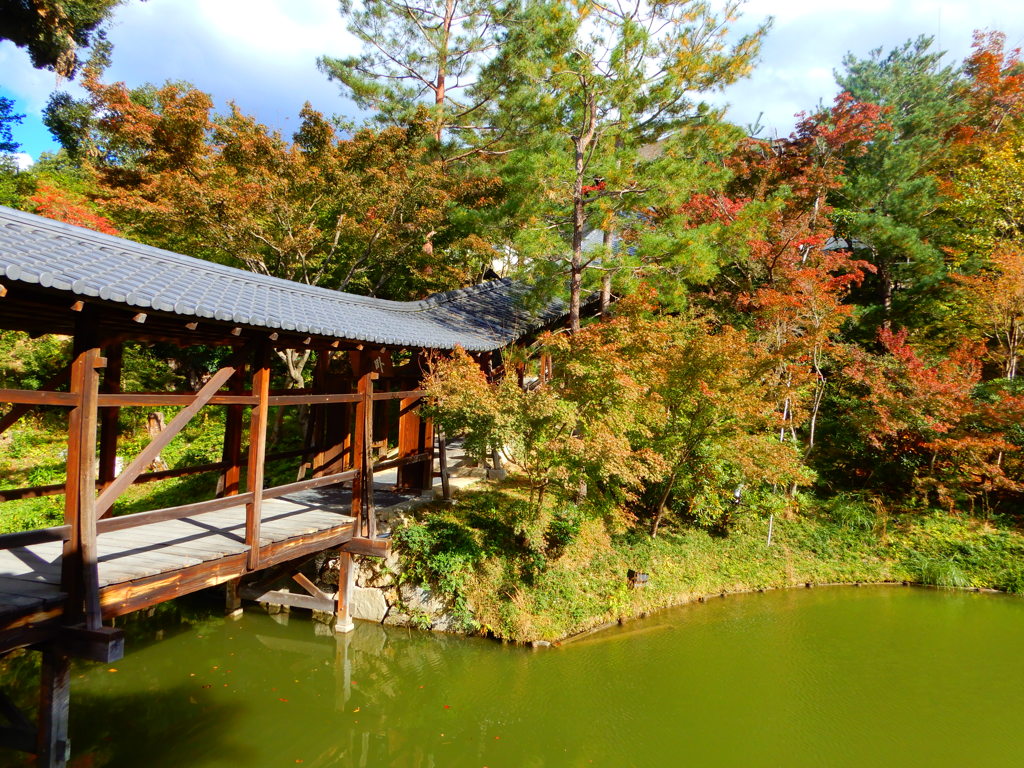 高台寺　境内