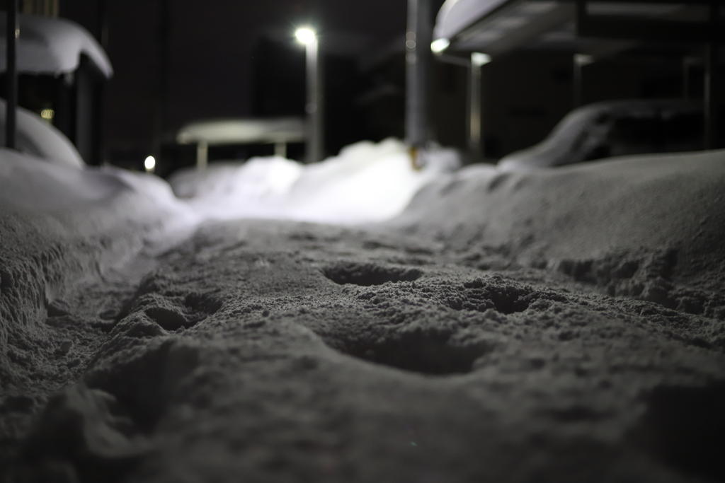 記録的大雪で出勤したくない…