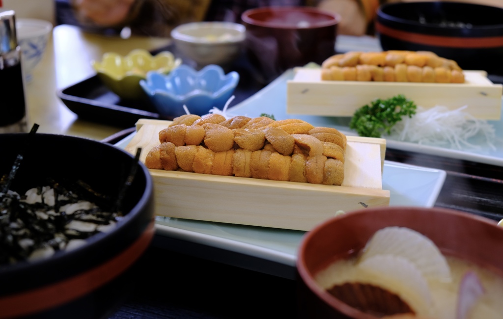 小樽のウニ丼