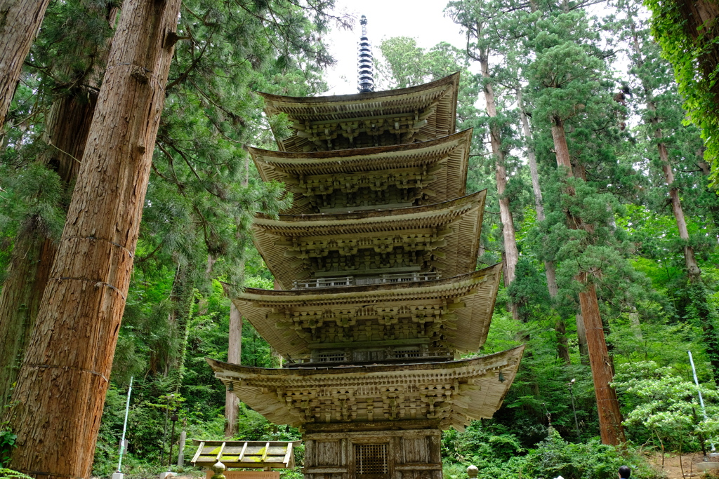 恭賀新年