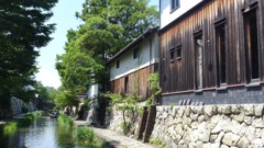 近江八幡の水郷風景