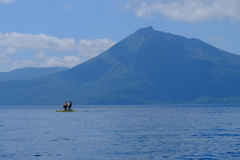 悠々と湖面散歩