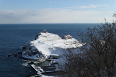 新雪が眩しい祝津岬