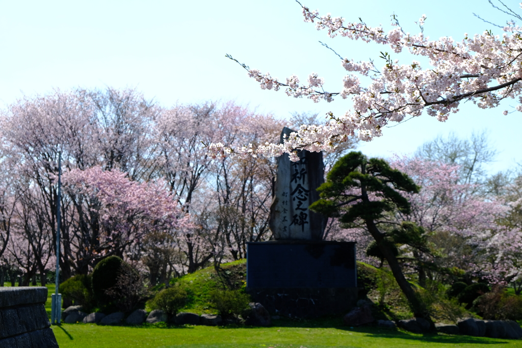 八雲町さらんべ公園の戦没者名簿