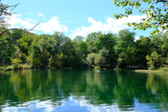 鳥沼公園全景