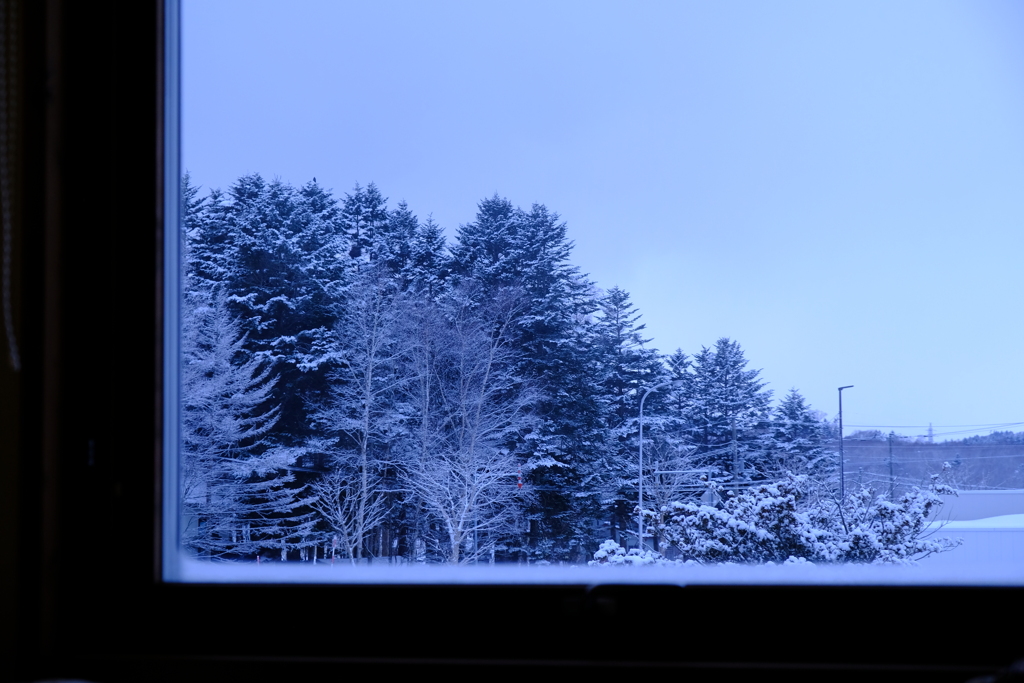 雪明けの朝