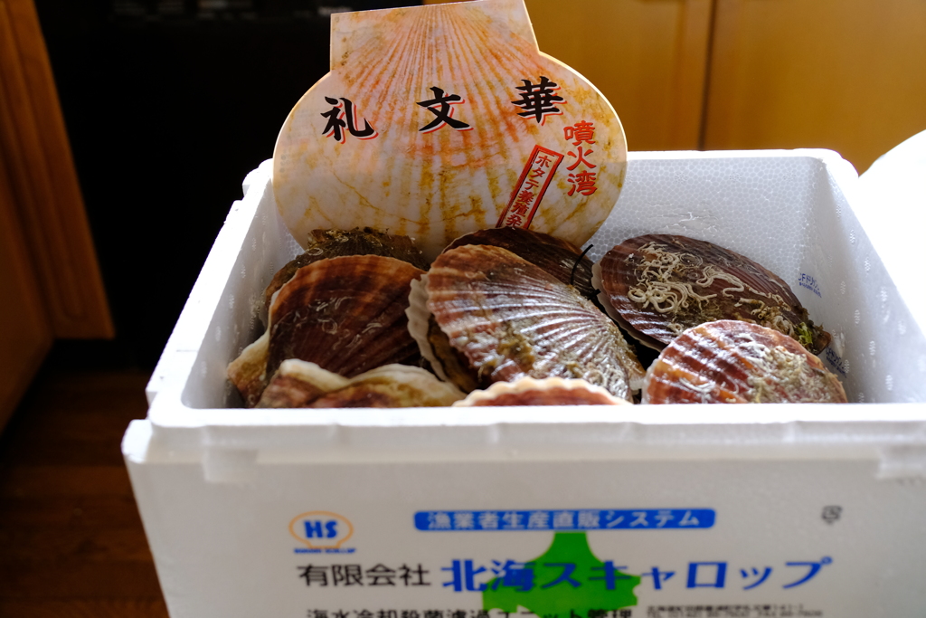 大きなホタテ！