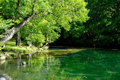 富良野　鳥沼公園