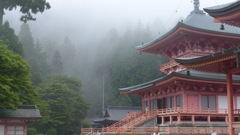 霧に包まれた比叡山