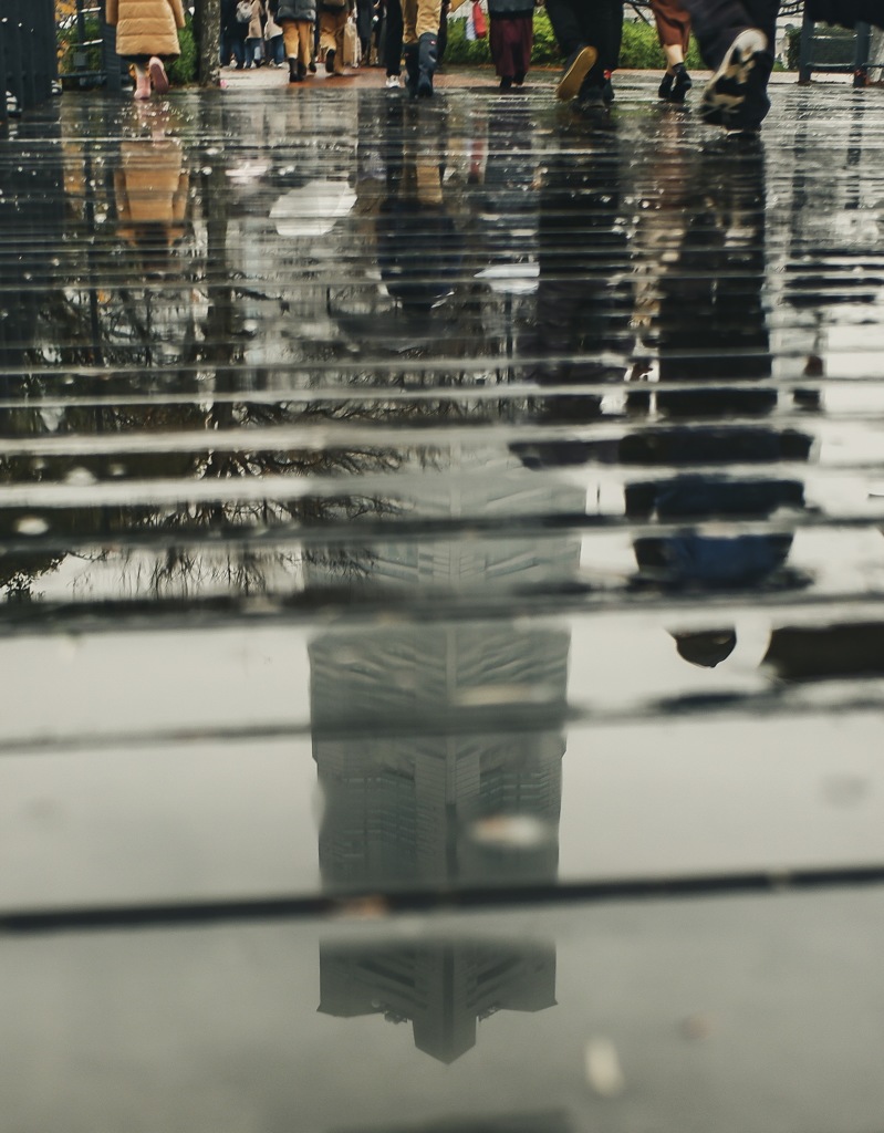 雨の桟橋