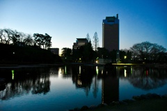 県庁と幸の池