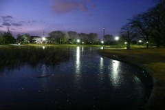 夜の公園