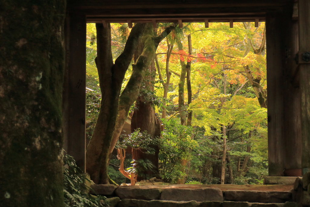 瑞宝寺公園。