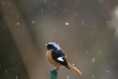 雪と風が・・・