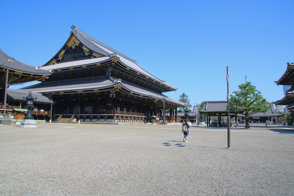 京都散歩してきました(^-^)