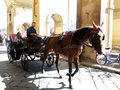 イタリア1