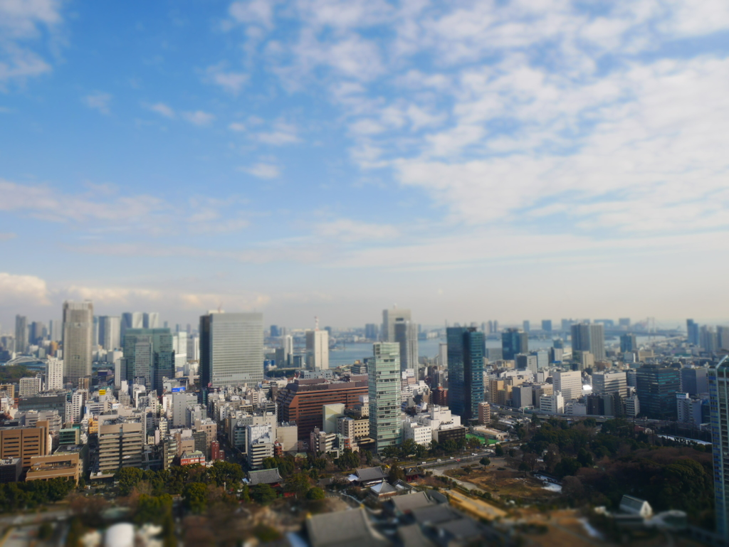 東京タワーより