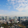 東京タワーより