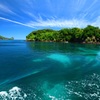 夏の海