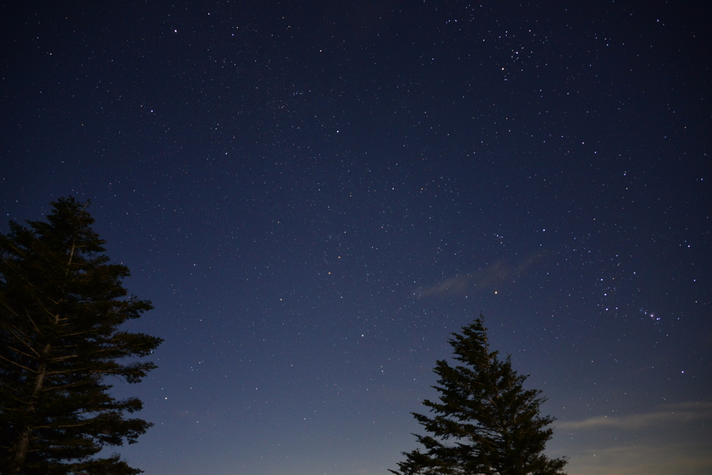 もう一枚撮りました。