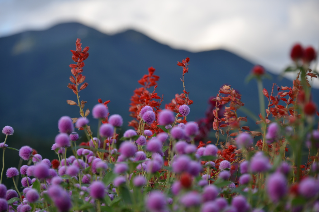 風景の切り取り3。
