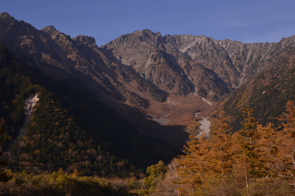 晩秋の山