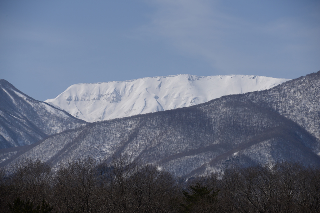 デコレーション