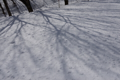 つかの間の影絵