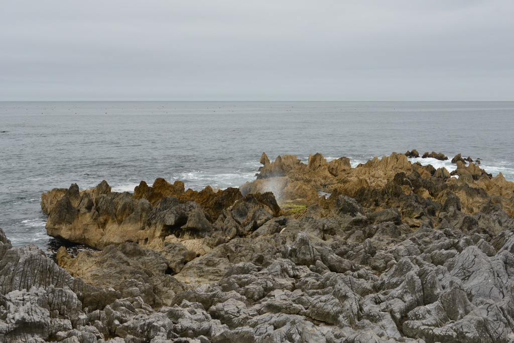 小さな潮吹き岩