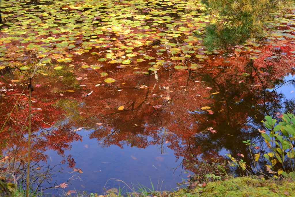 リフレクション1