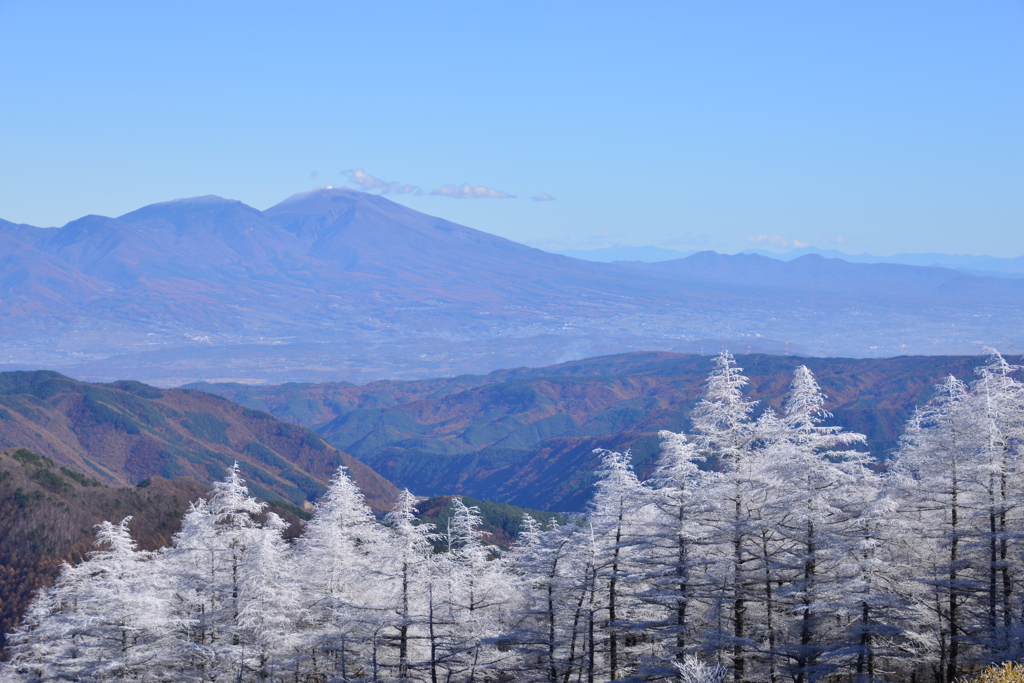 霧氷と山
