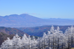 霧氷と山
