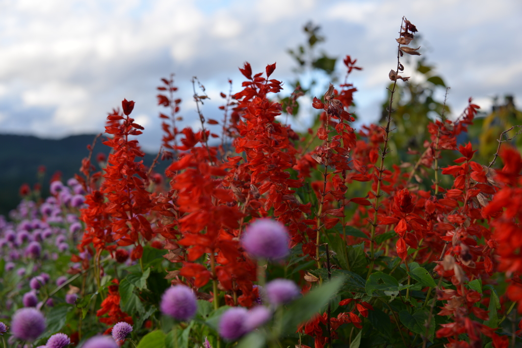 風景の切り取り2。