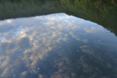 逆さの秋空
