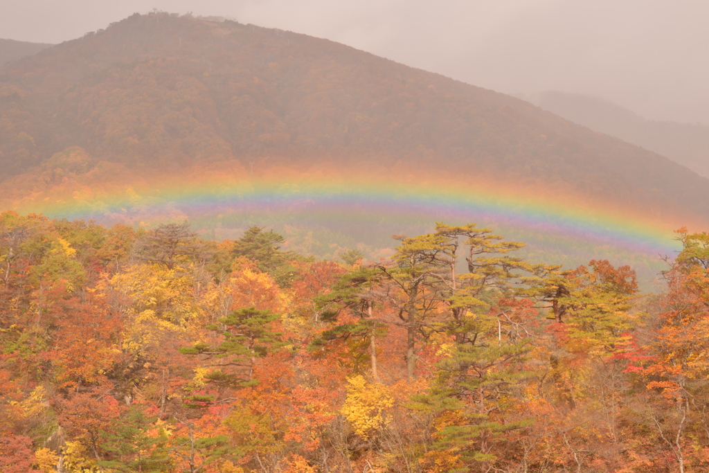 虹と紅葉