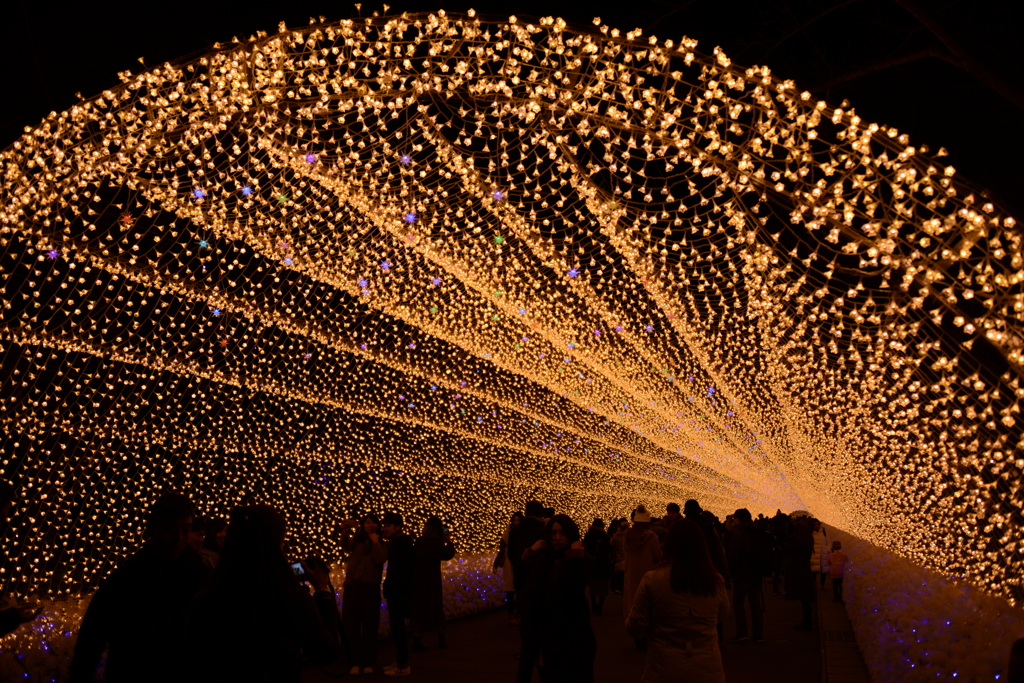 秋のイルミネーションアーチ3