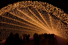 秋のイルミネーションアーチ3