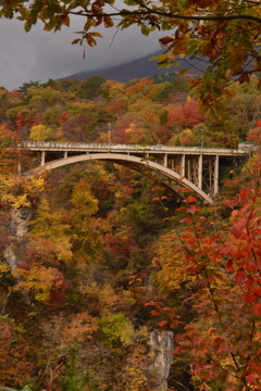 橋と紅葉
