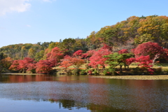 池の紅葉