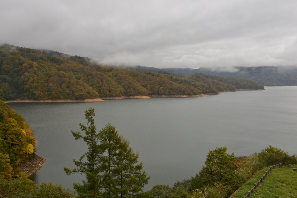 湖岸の紅葉